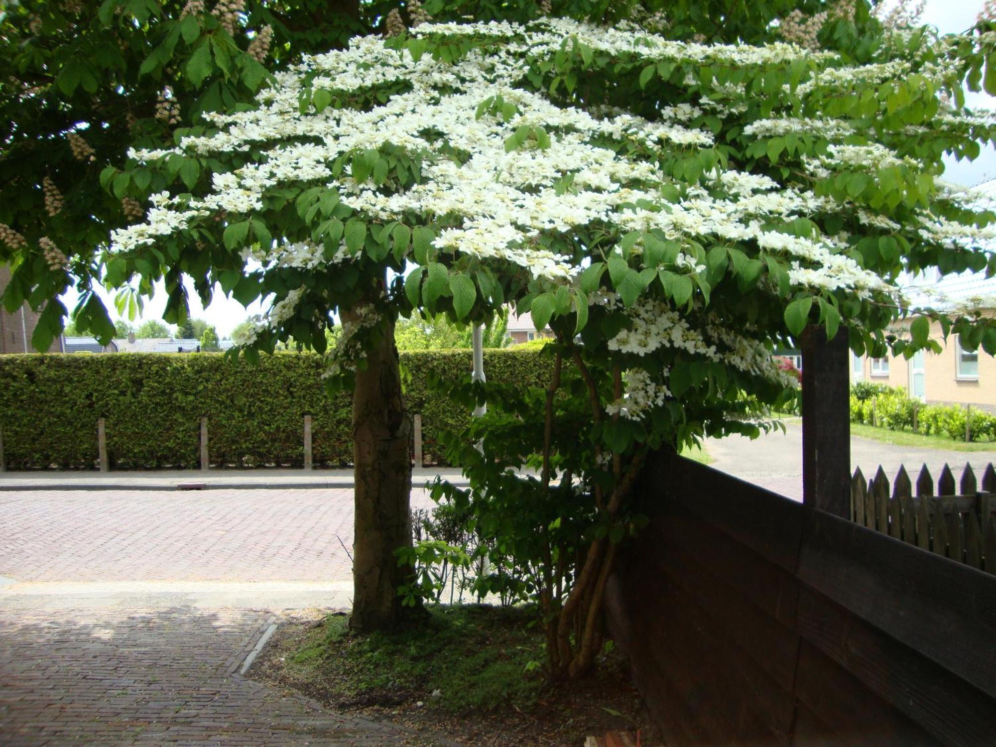 Logement-B&B Safier ヤウレ エクステリア 写真
