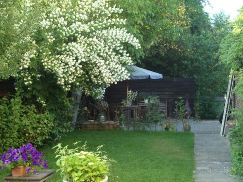 Logement-B&B Safier ヤウレ エクステリア 写真